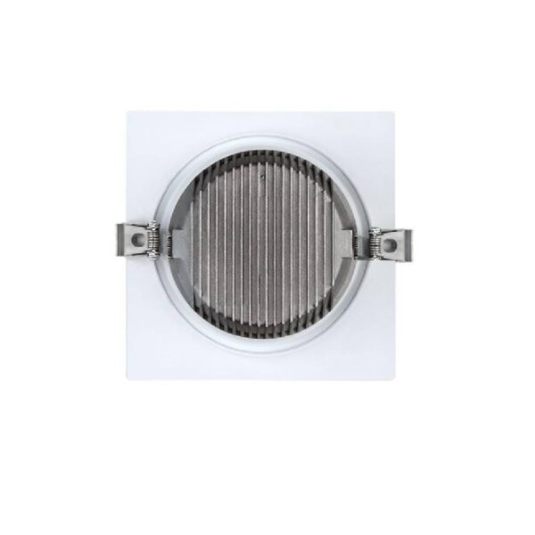 Feiza 5 inch Downlight