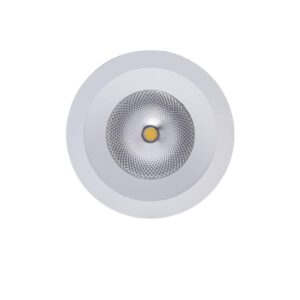 Leilani 2 inch Downlight - Görsel 2