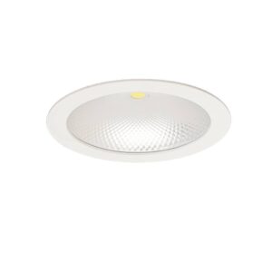 Noelani 4 inch Downlight - Görsel 6