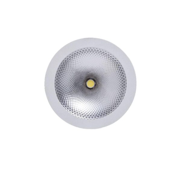 Noelani 5 inch Downlight