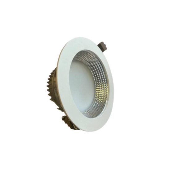 Zerlina 4 inch Downlight